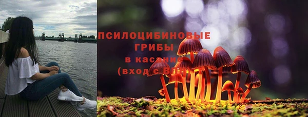соль курить ск Богородицк